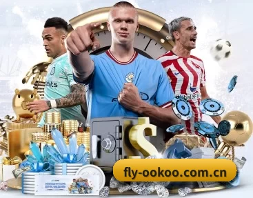 fly-ookoo.com.cn的故事 - 体育资讯内容服务（aoko）